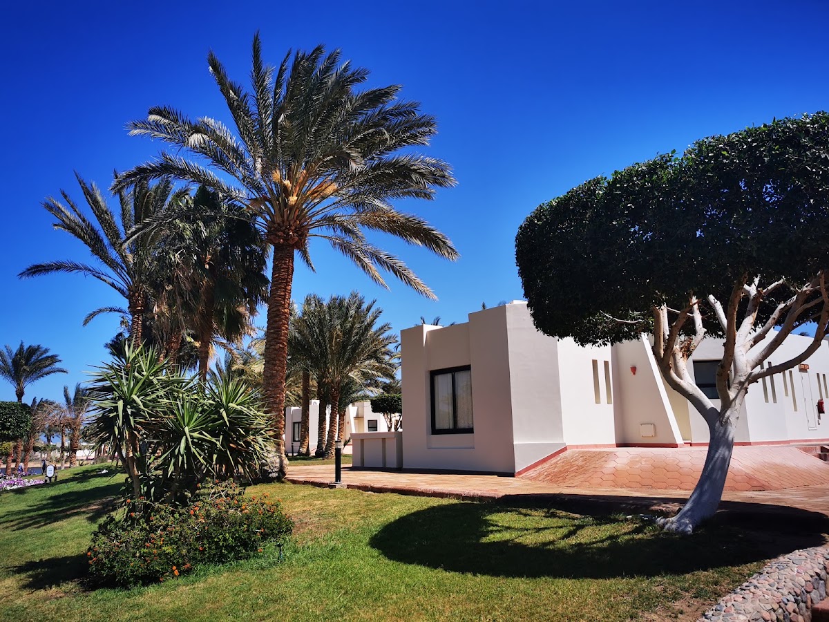 PHARAOH AZUR RESORT — 10