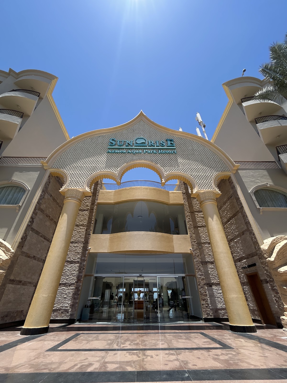 SUNRISE AZALEA (ASTER AQUA PARK, LE JARDIN) — 10