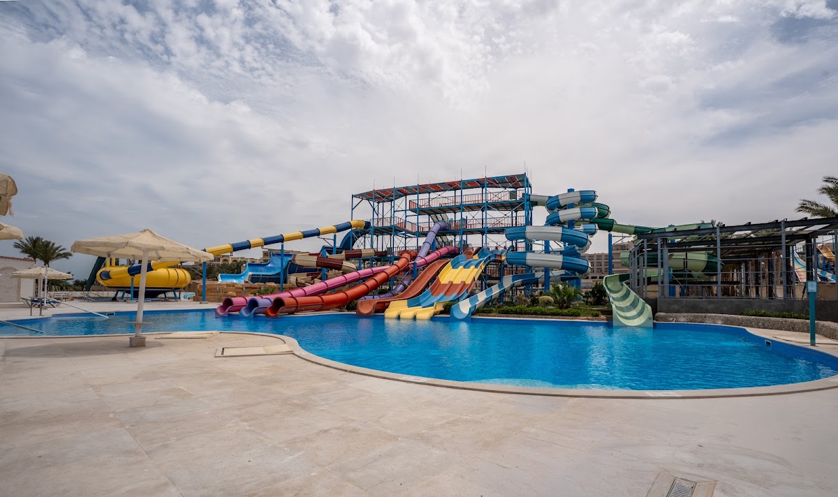 SUNRISE AZALEA (ASTER AQUA PARK, LE JARDIN) — 5