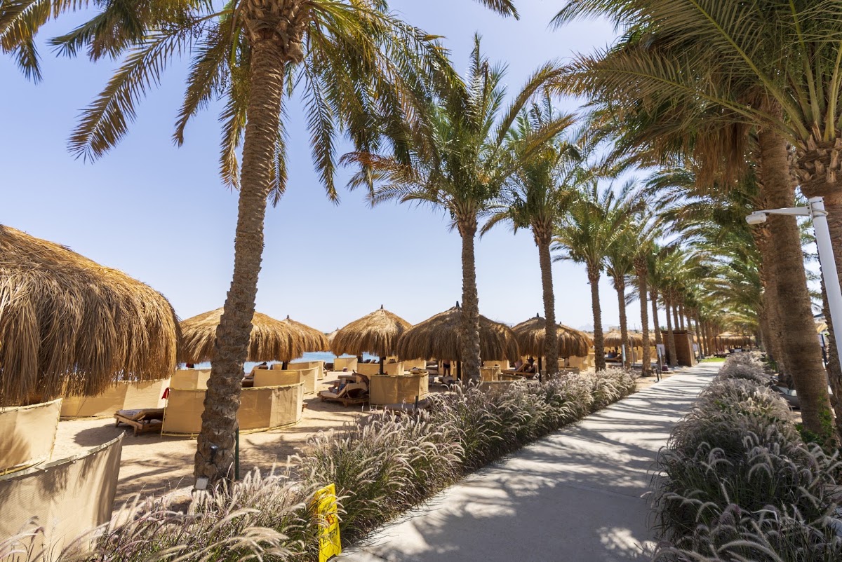 SUNRISE ROYAL MAKADI RESORT — 6