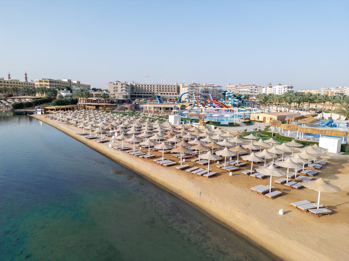 SUNRISE AZALEA (ASTER AQUA PARK, LE JARDIN) — 7