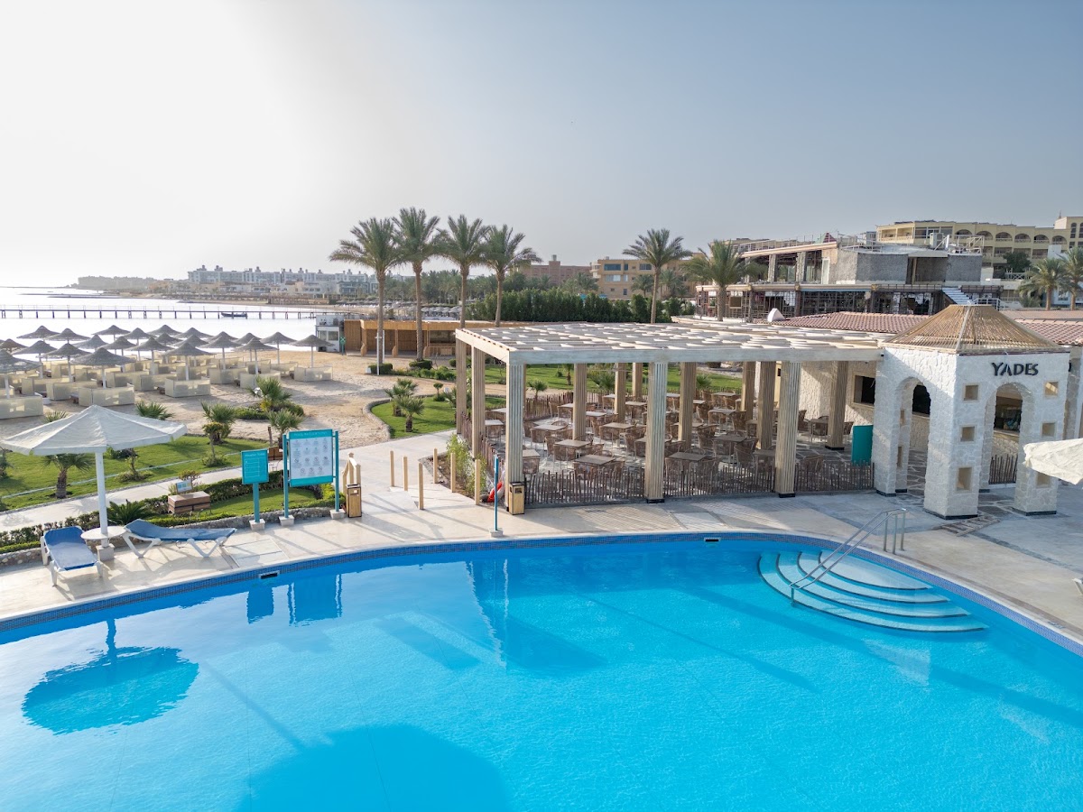 SUNRISE AZALEA (ASTER AQUA PARK, LE JARDIN) — 4